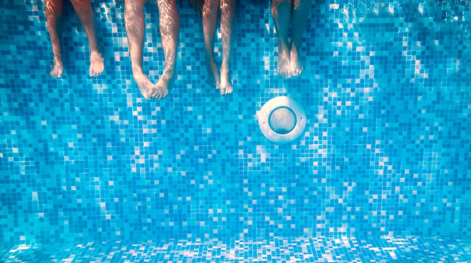 Children's and adults legs underwater in the swimming pool